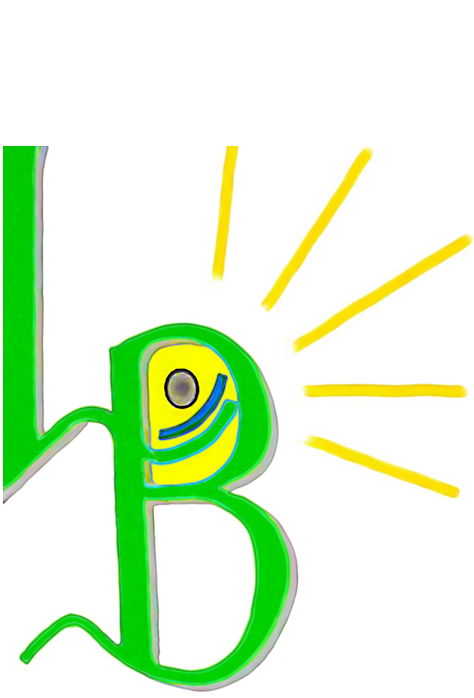 Lichtblicke4You Logo